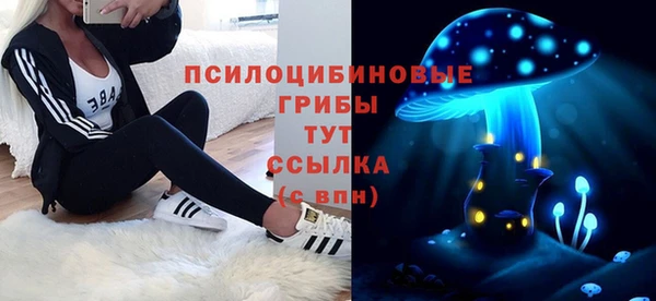 мдпв Покачи