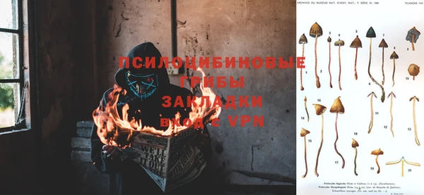 кокаин перу Заводоуковск