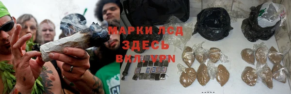 индика Заволжск