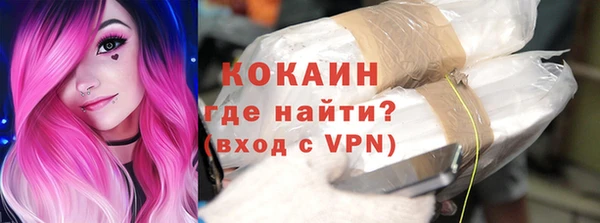 индика Заволжск