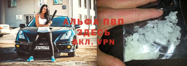 индика Заволжск