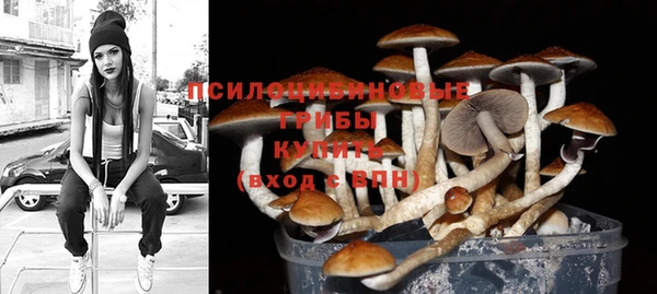 индика Заволжск