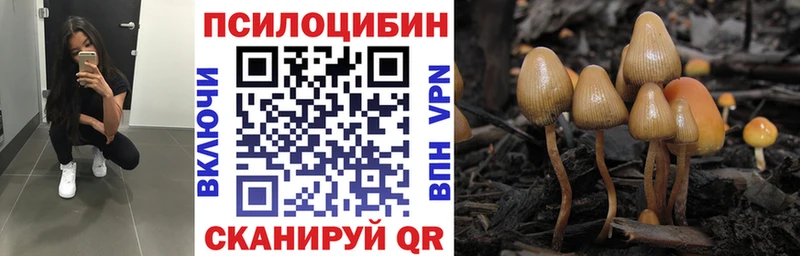 Галлюциногенные грибы ЛСД  Пролетарск 